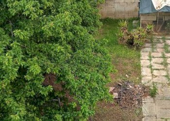 WhatsApp Image 2026-04-21 at 18.36.02(3).jpeg - Casa semi indipendente Via Papa Giovanni XXIII 2, Cursi - foto 10