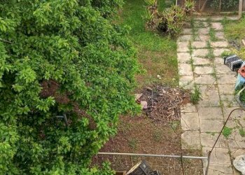 WhatsApp Image 2026-04-21 at 18.36.02.jpeg - Casa semi indipendente Via Papa Giovanni XXIII 2, Cursi - foto 12