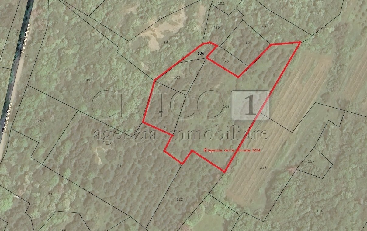 Immagine.jpg - Terreno agricolo Via Castellaro, Castegnero - planimetria 1