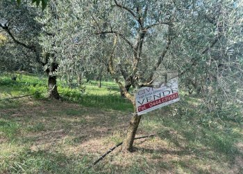 Esterni (1).JPG - Terreno agricolo Via Castellaro, Castegnero - foto 2