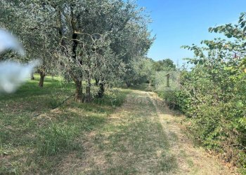 Esterni (4).JPG - Terreno agricolo Via Castellaro, Castegnero - foto 4