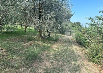 Esterni (5).JPG - Terreno agricolo Via Castellaro, Castegnero - foto 5