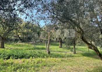 Esterni (11).JPG - Terreno agricolo Via Castellaro, Castegnero - foto 8