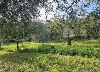 Esterni (13).JPG - Terreno agricolo Via Castellaro, Castegnero - foto 9