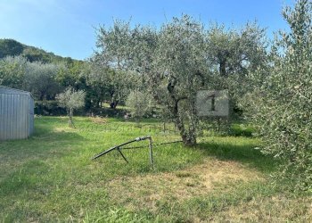 Esterni (23).JPG - Terreno agricolo Via Castellaro, Castegnero - foto 13