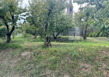 Esterni (35).JPG - Terreno agricolo Via Castellaro, Castegnero - foto 17