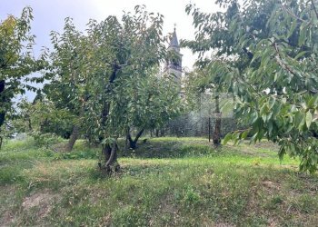 Esterni (36).JPG - Terreno agricolo Via Castellaro, Castegnero - foto 18