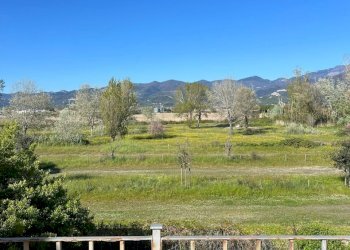 ff8c99c8-90ea-4bce-a1e7-25f4aec41a64.jpg - Townhouse Viale Litoraneo, Sarzana - photo 2