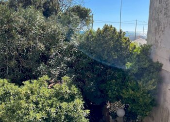 013c068e-952c-4127-bd6d-beefe735993b.jpg - Townhouse Viale Litoraneo, Sarzana - photo 19