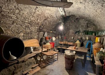 WhatsApp Image 2025-10-27 at 17.18.35.jpeg - Trilocale Via Vittorio Alfieri, Fosdinovo - foto 8