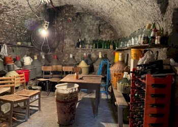 WhatsApp Image 2025-10-27 at 17.18.36(1).jpeg - Trilocale Via Vittorio Alfieri, Fosdinovo - foto 9