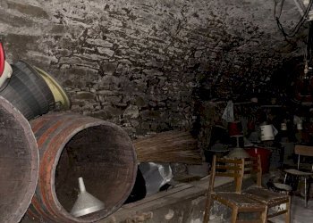 WhatsApp Image 2025-10-27 at 17.18.36.jpeg - Trilocale Via Vittorio Alfieri, Fosdinovo - foto 10