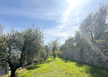 giardino - Villa Via dell'Apparita, Vaiano - foto 8