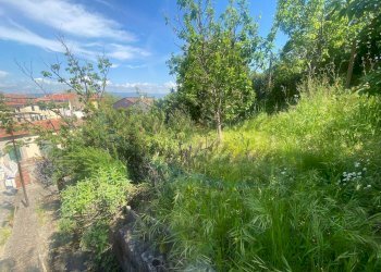 photo_6001597711444020527_y.jpg - Villa Piazza Antonio Gramsci, Rosignano Marittimo - foto 17