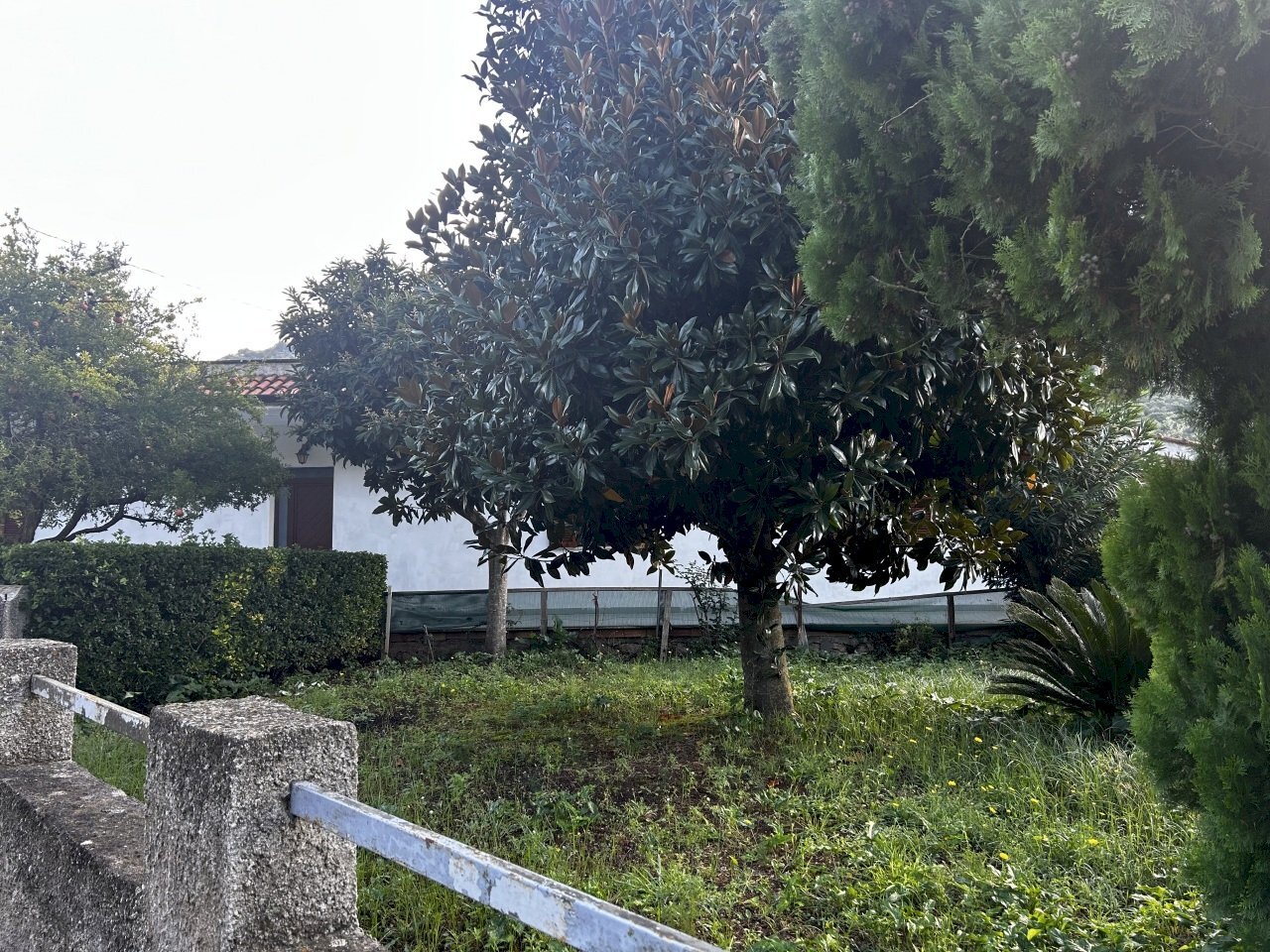 IMG_4499.jpg - Villa Via Cesalunga 25, Terracina - photo 2