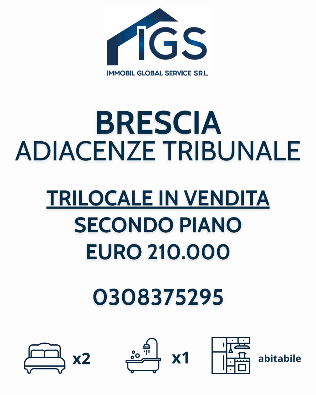 GRAFICA trilocale adiacenze tribunale.png - Appartamento Brescia - foto 1