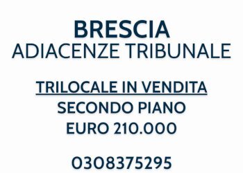 GRAFICA trilocale adiacenze tribunale.png - Appartamento Brescia - foto 1