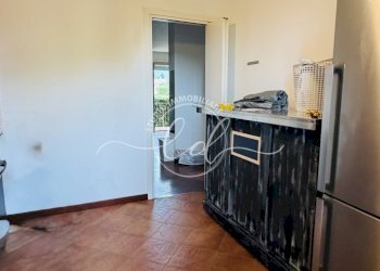 IMG_6335.jpg - Villa a Schiera Pietrasanta - foto 21