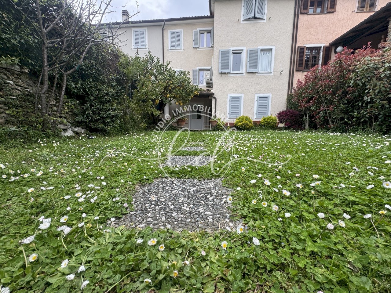 IMG_5512.JPG - Townhouse Seravezza - photo 1