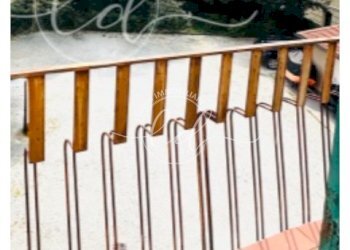 IMG_5206 2.jpg - Appartamento Lucca - foto 3