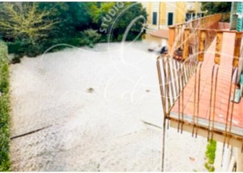 IMG_5229 5.jpg - Appartamento Lucca - foto 4