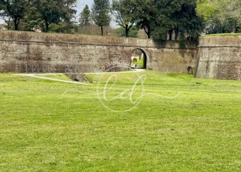 IMG_5271 5.JPG - Appartamento Lucca - foto 6