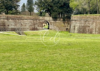 IMG_5272 5.JPG - Appartamento Lucca - foto 15