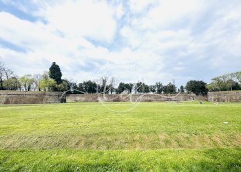 IMG_5263 4.JPG - Appartamento Lucca - foto 16