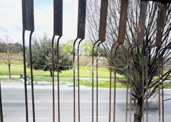 IMG_5194 2.jpg - Appartamento Lucca - foto 18