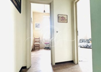 IMG_5199 2.JPG - Appartamento Lucca - foto 23