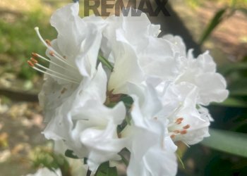 Monolocale Via Sant'alberto, 34 A 
 Sestri Ponente, Genova (zona Sestri Ponente) - foto 25