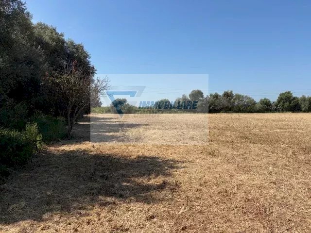 Terreno edificabile Strada Tremmilia, Siracusa - foto 3