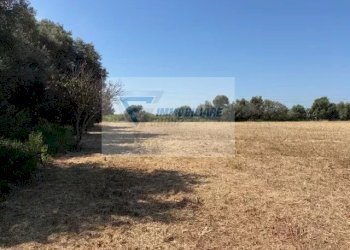 Terreno edificabile Strada Tremmilia, Siracusa - foto 3