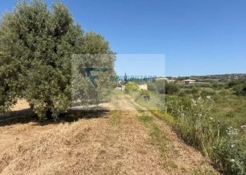 Terreno edificabile Strada Tremmilia, Siracusa - foto 7