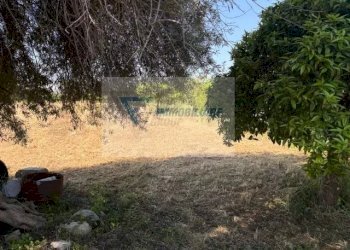 Terreno edificabile Strada Tremmilia, Siracusa - foto 11