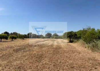 Terreno edificabile Strada Tremmilia, Siracusa - foto 12