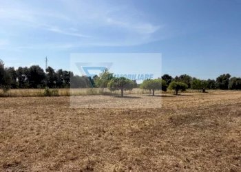 Terreno edificabile Strada Tremmilia, Siracusa - foto 13