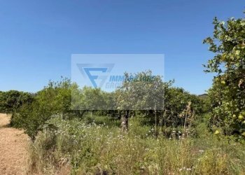 Terreno edificabile Strada Tremmilia, Siracusa - foto 15