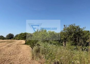 Terreno edificabile Strada Tremmilia, Siracusa - foto 16