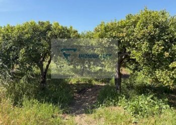 Terreno edificabile Strada Tremmilia, Siracusa - foto 17