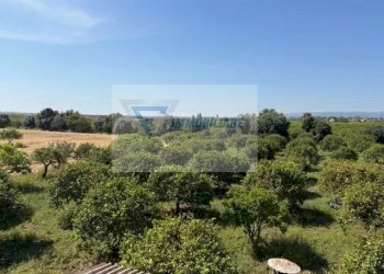 Terreno edificabile Strada Tremmilia, Siracusa - foto 18