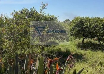 Terreno edificabile Strada Tremmilia, Siracusa - foto 26