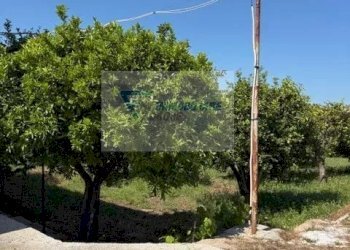 Terreno edificabile Strada Tremmilia, Siracusa - foto 38