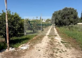 Terreno edificabile Strada Tremmilia, Siracusa - foto 39