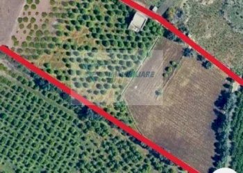 Terreno edificabile Strada Tremmilia, Siracusa - foto 41