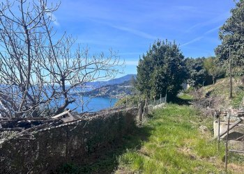 Appartamento in Villa Località Peidaigo, Ventimiglia - foto 4