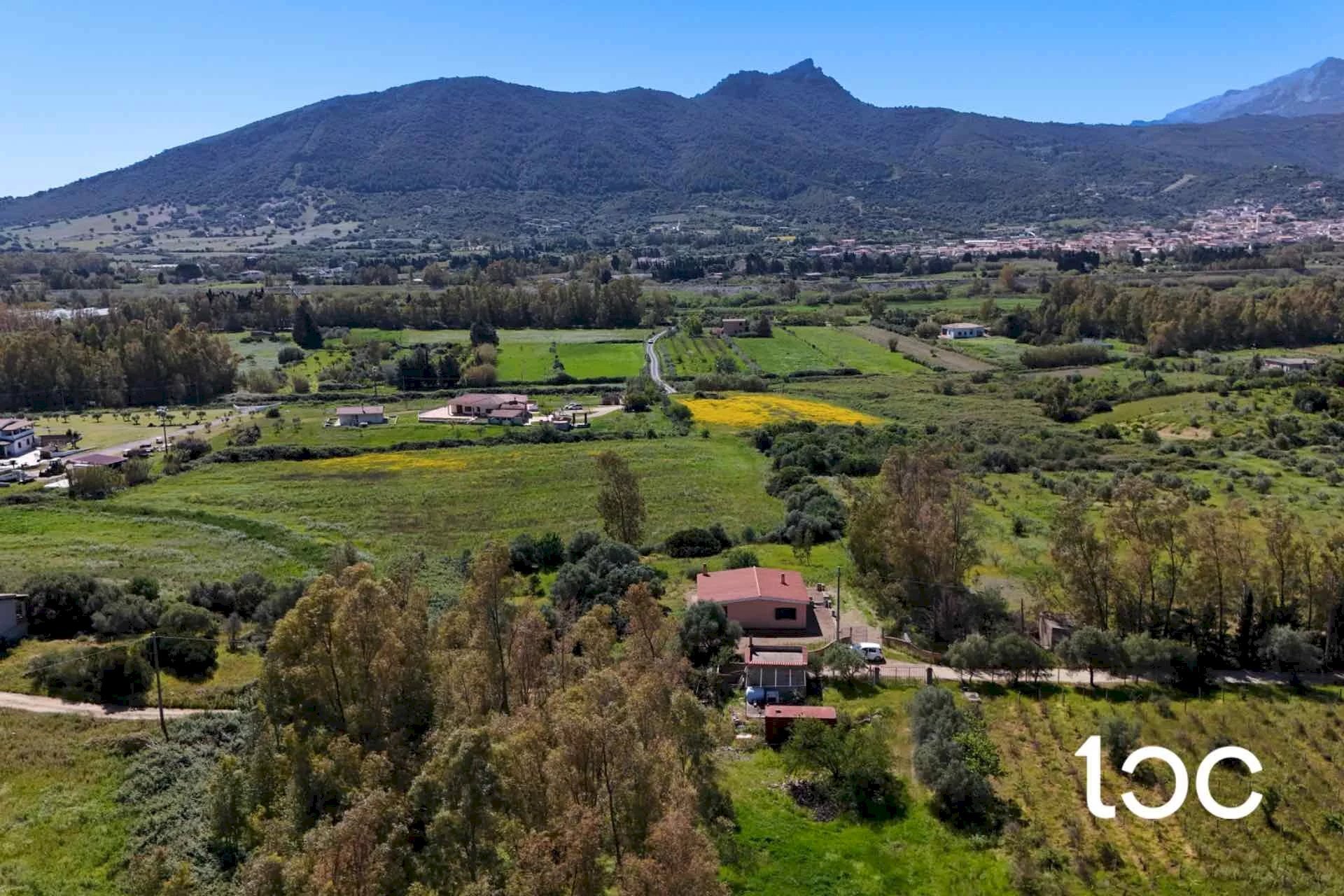 Trilocale Torpè - foto 3