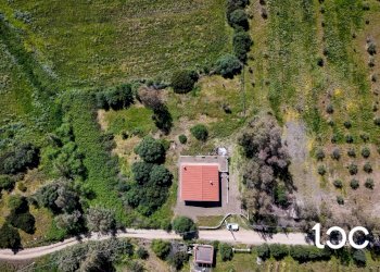 Trilocale Torpè - foto 2