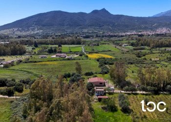 Trilocale Torpè - foto 3