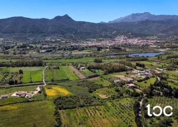 Trilocale Torpè - foto 24